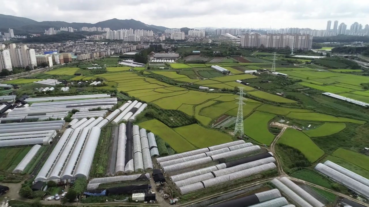 숨죽인 부동산 시장...거래 '뚝' 문의만 이어져 / YTN