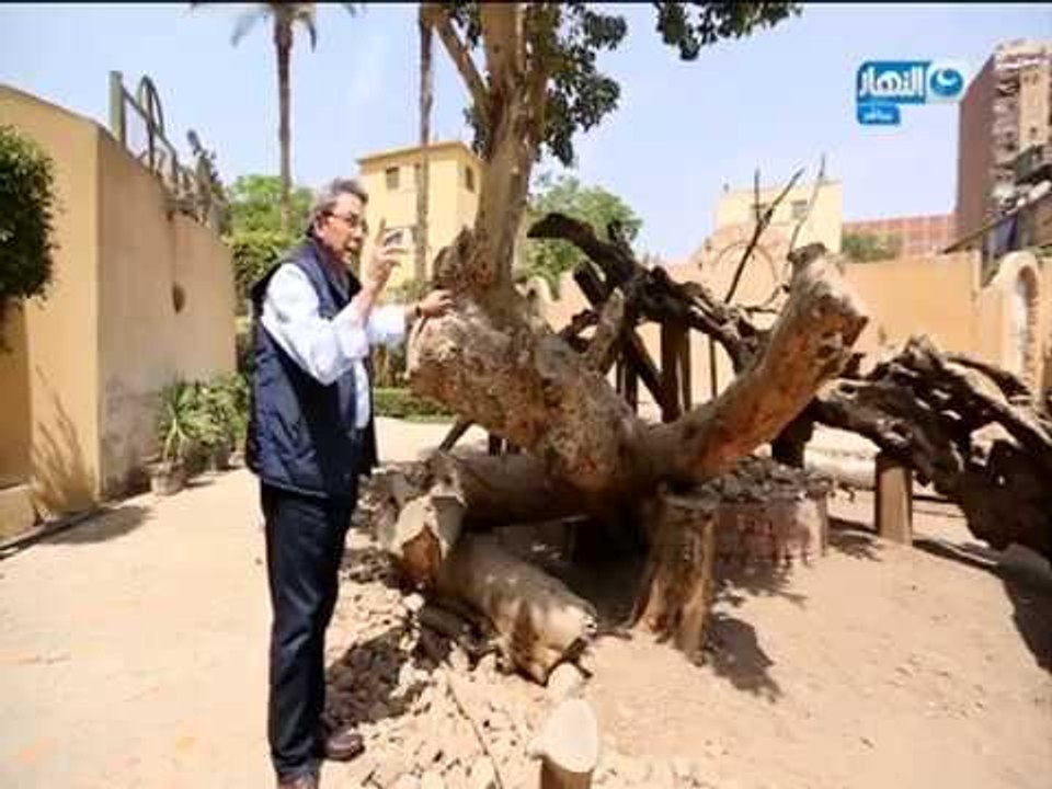 باب_الخلق| تعرف على رحلة العائلة المقدسة من بيت لحم الى مصرمن امام شجرة مريم بالمطرية