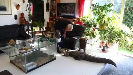 هذا الصباح- مسن فرنسي يحول منزله لمأوى للحيوانات الخطيرة