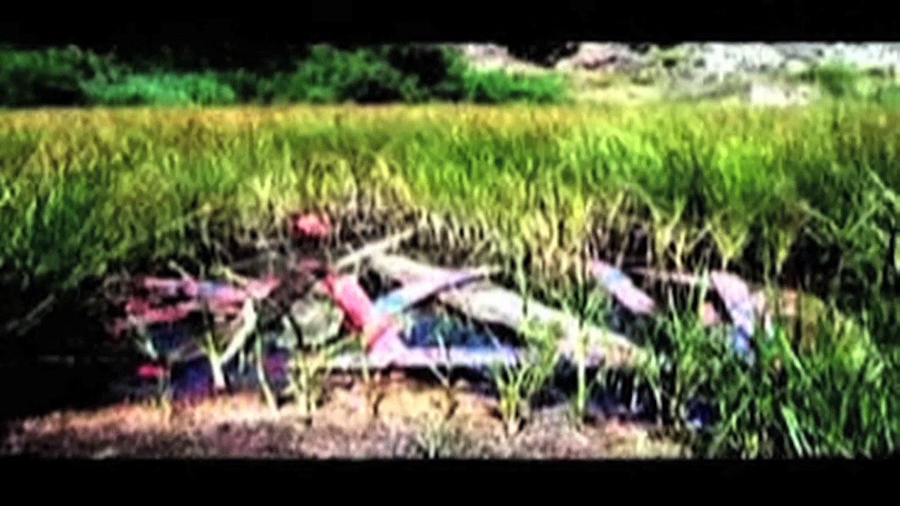 Republic 2013 /full film/ganzer film/complete movie