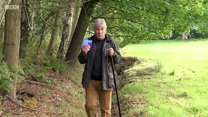 Witless S03E02