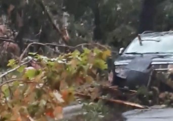 Residents Survey Tornado Damage in Quebec