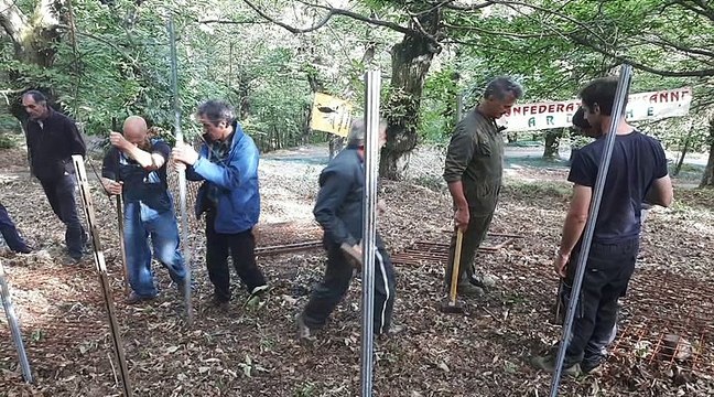 Des agriculteurs montent un piège à sangliers pour interpeller le préfet