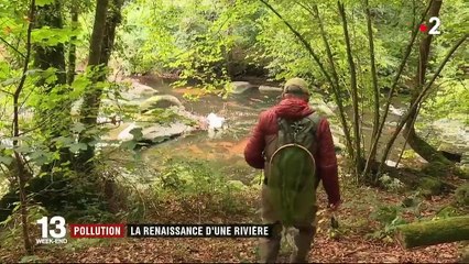 Pollution : en Bretagne, une rivière a fait machine arrière