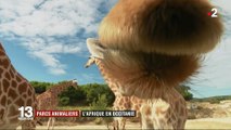 Parcs animaliers : une réserve africaine en Occitanie