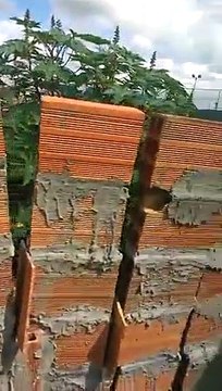 Brésil : Une femme arrive à construire un mur ! Fail