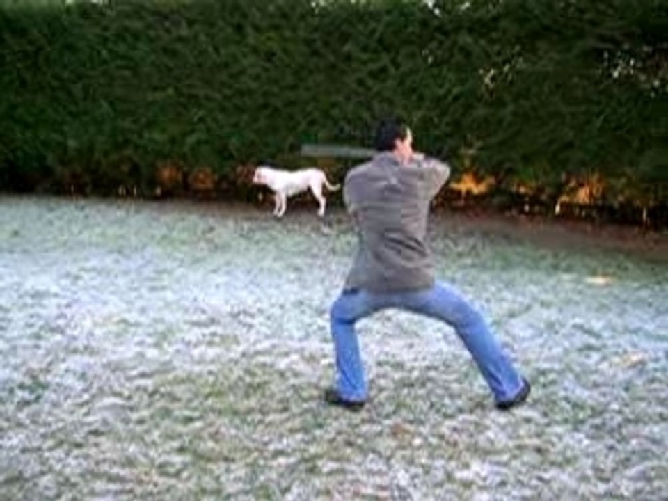 viet vo dao quyen "bach long dao"