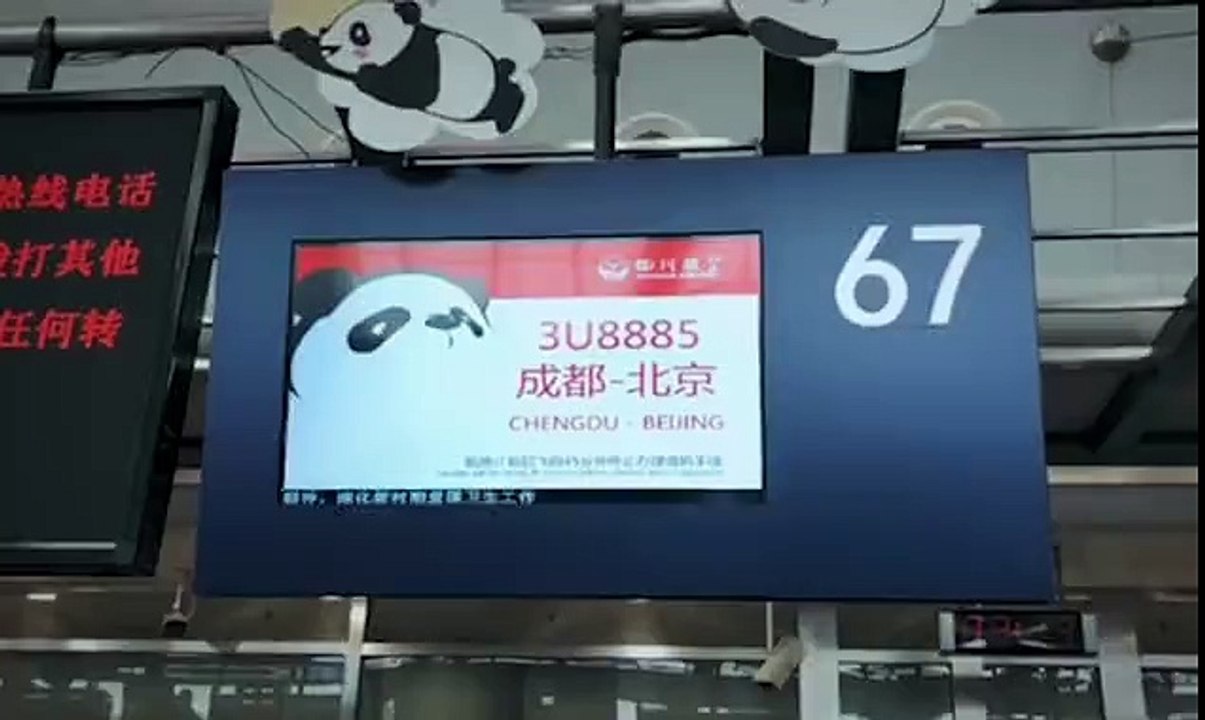 الخطوط الجوية الصينية تطلق "مسار PANDA" بطائرة مستوحاة من الباندا✈