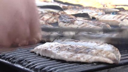 Beykoz'da 4 Ton Balık Vatandaşlara İkram Edildi