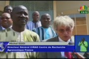 RTB/Rencontre des responsables des systèmes nationaux de la recherche agricole des Pays du G5 sahel