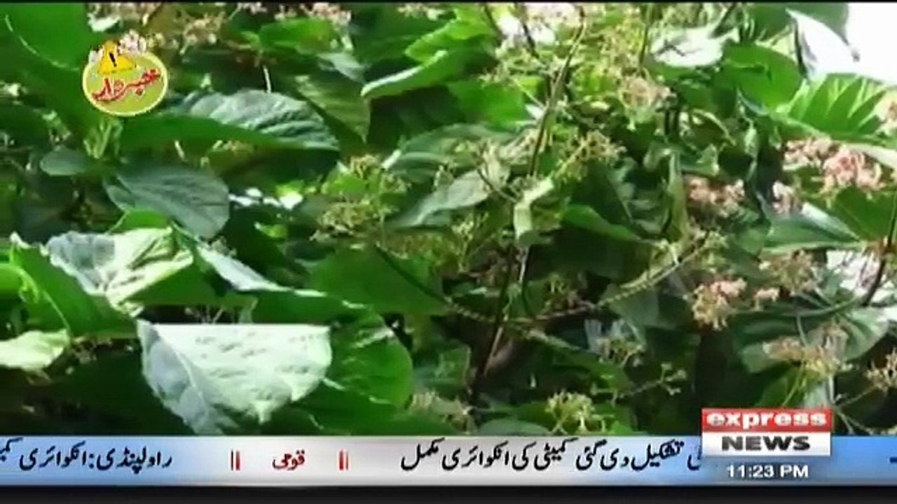 Khabardar with Aftab Iqbal - 22nd September 2018