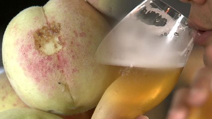 '못난이 과일' 수제 맥주...맛은 최고 / YTN
