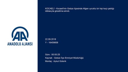 Afgan uyruklu kişinin çekçeğiyle keçi çaldığı iddiası - KOCAELİ