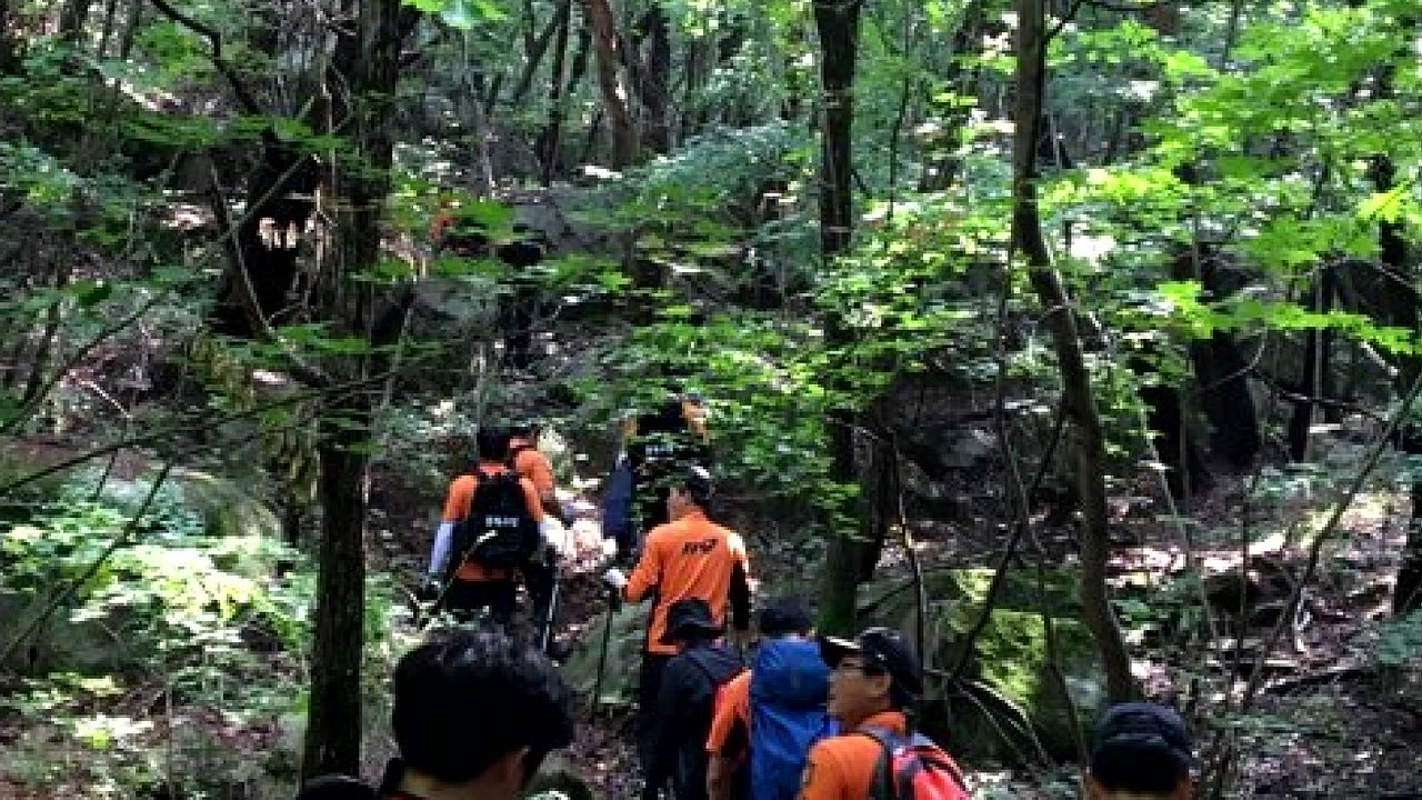 충북 괴산서 버섯 캐러 간 80대 연락 두절...경찰·소방 수색 / YTN