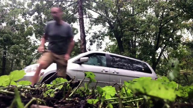 Atrapado en un coche, un oso escapa por la ventanilla