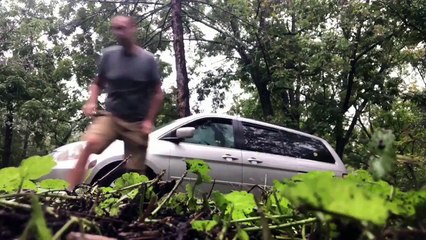 Atrapado en un coche, un oso escapa por la ventanilla