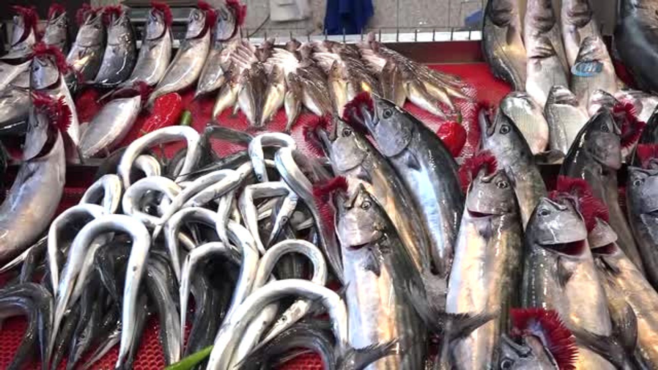 Mezgitin Fiyatı Bir Türlü Düşmüyor