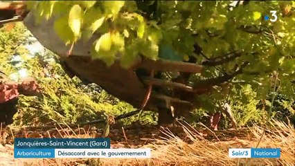 Hérault : les arboriculteurs en colère contre la suppression d’allègements de charges