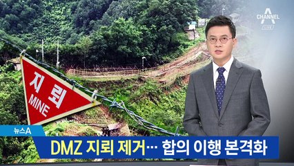 DMZ 지뢰 제거 진행…군사합의 이행 본격화