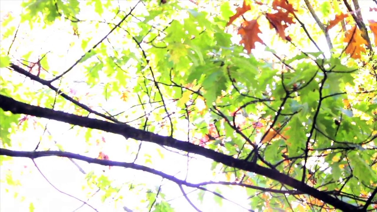 Bildhauer Folge 004 - Der Bildhauer und die Stadt /Full Film/Complete Movie/Ganzer Film