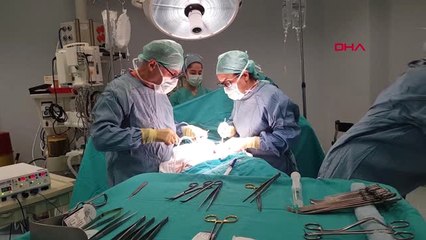 Dört Hayat Bir Ameliyatta Can Buldu