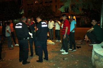 Yaralı Köpek İçin Seferber Oldular