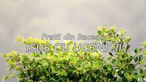 Fratii din Bacesti - Isus cu Ucenicii (Official Audio 2018)