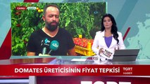 Domates Üreticisinin Fiyat Tepkisi