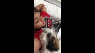 Shih Tzu puppy preciously naps with human best friend