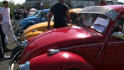 Büyükçekmece'de 'En Cicimiz Vosvos' festivali başladı