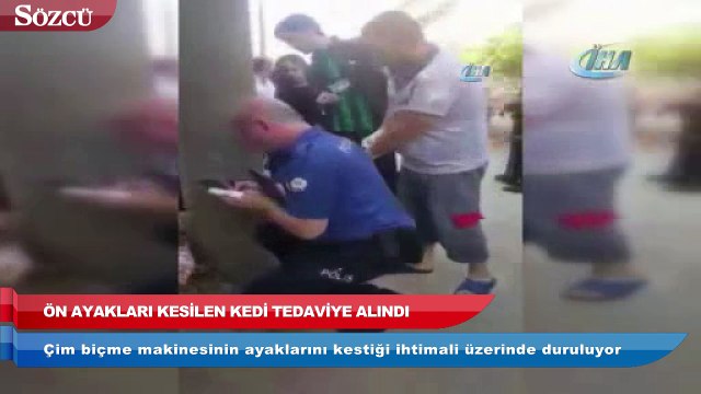 Ön ayakları kesilen kedi tedaviye alındı