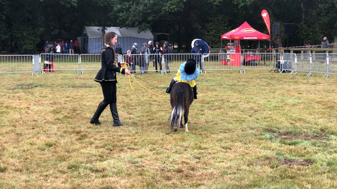 Démonstrations et spectacles aux Mille sabots