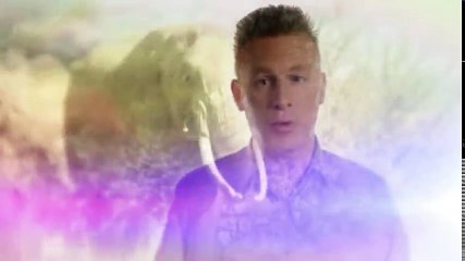 The Wonders of the Animals S01 - Ep06 Elephants HD Watch