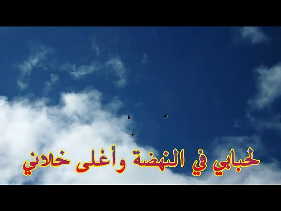 النهضة حزبي وعاشت الاسامي