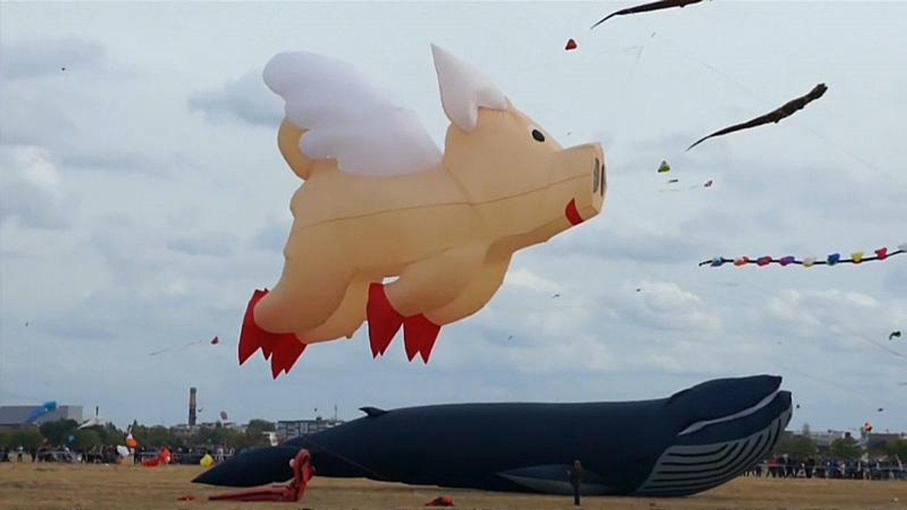 Fliegende Schweine und Teddys am Berliner Himmel
