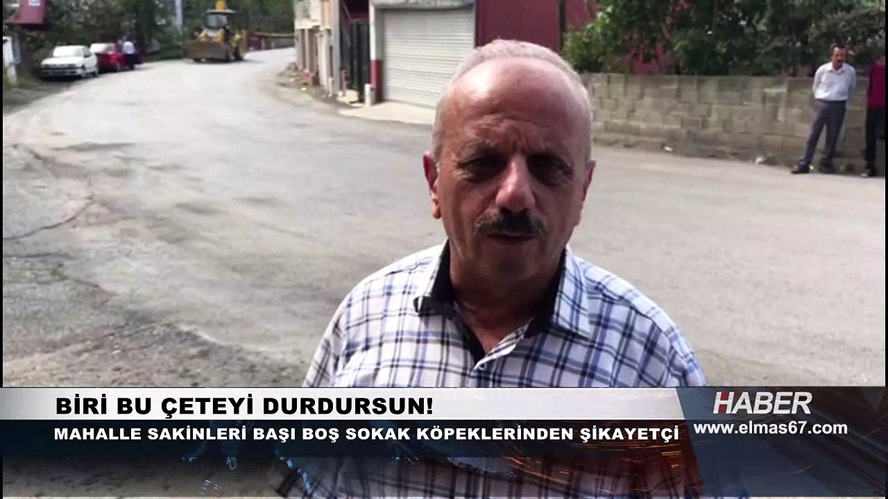 Biri bu çeteyi durdursun!