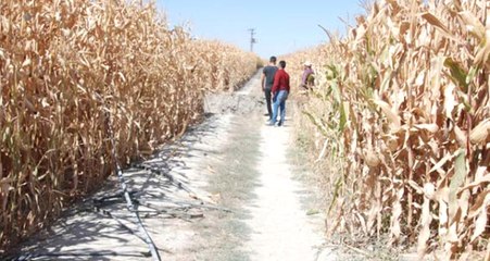 Konya'da Oluşan  30 Metre Derinliğinde 20 metre Çapındaki Obruk Vatandaşları Tedirgin Etti