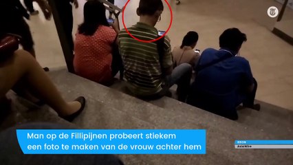 Viespeuk op geniale manier betrapt