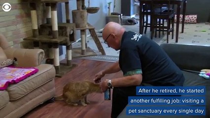 رجل يجني 30 ألف دولار بفضل القطط 