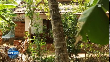 Wunderkinder: Skateboard-Talent vs. Kampfsport-Genie | Galileo | ProSieben