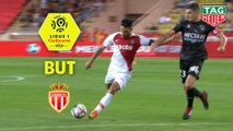 But Radamel FALCAO (27ème) / AS Monaco - Nîmes Olympique - (1-1) - (ASM-NIMES) / 2018-19