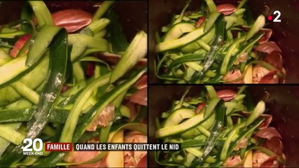 Famille : comment bien vivre le moment où ses enfants quittent le nid ?