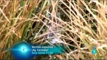 ANIMALES  VIDA Y MUERTE EN EL RIO 1 - NATIONAL GEOGRAPHIC - ANIMALS - ANIMALES SALVAJES