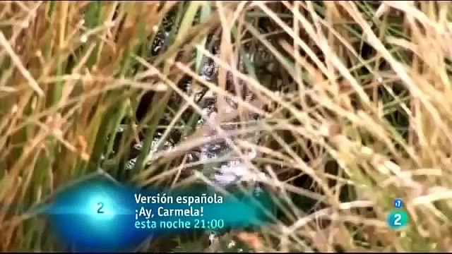 ANIMALES VIDA Y MUERTE EN EL RIO 1 - NATIONAL GEOGRAPHIC - ANIMALS - ANIMALES SALVAJES