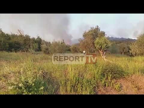 Report Tv-Fier/ Zjarr i madh në kodrat me ullishte në Levan, nuk dihen arsyet