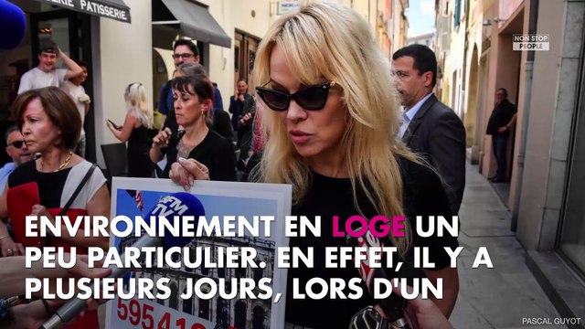 DALS 9 : Pamela Anderson vegan convaincue, elle a imposé ses conditions à la production