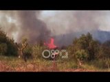 Ora News - Zjarri i fuqishëm në Levan të Fierit