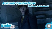Animais Fantásticos:  Os Crimes de Grindelwald - Trailer Final