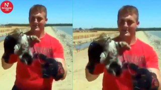 Teen Caught On Camera Hurling Tiny Kitten Into Lake, Then Cops Show Up To Deliver Justice
