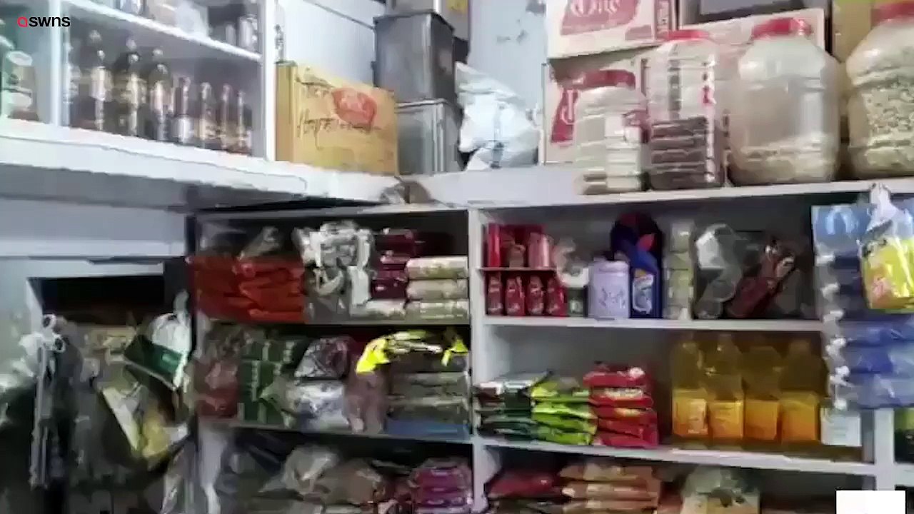 Hilarious video shows two rats having a 'boxing match' in a kitchen cupboard